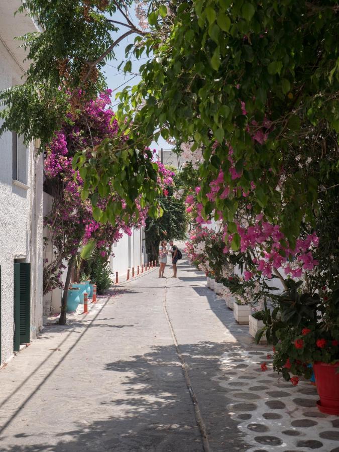 Terra Fos Naxos Studios Naxos City Exterior foto
